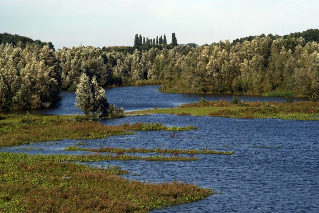 A floodplain. Photo by Els B on Unsplash