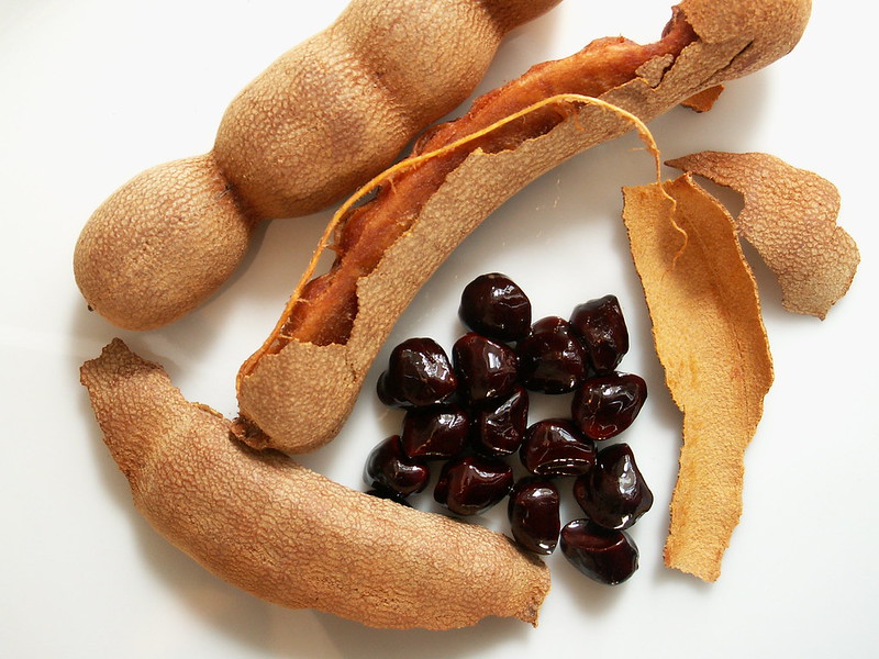 Tamarind plant and seeds (Photo by Malcolm Smith for Flickr)