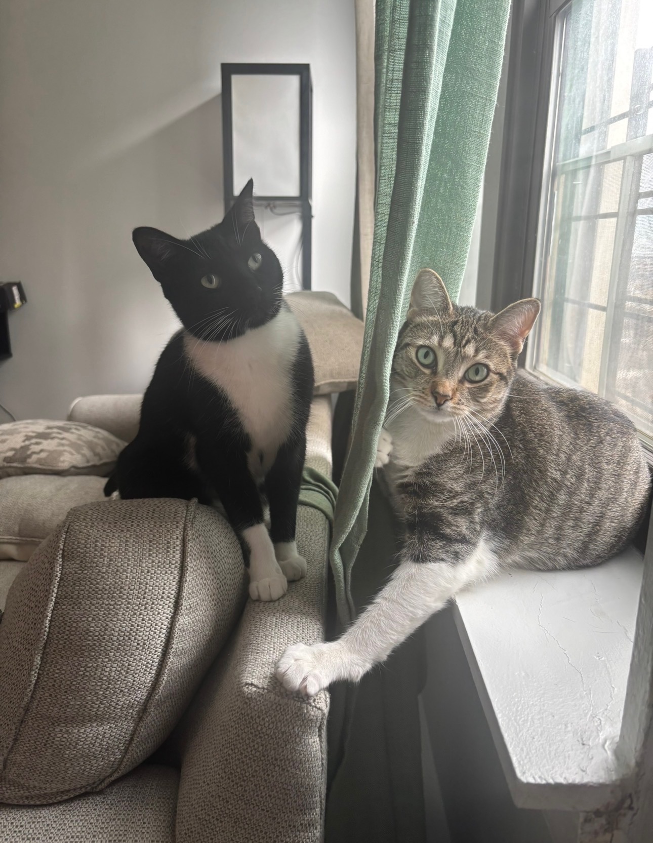 Lexi and Luna
