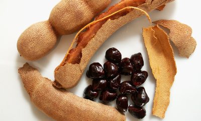 Tamarind plant and seeds (Photo by Malcolm Smith for Flickr)